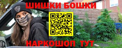 амф Кудрово