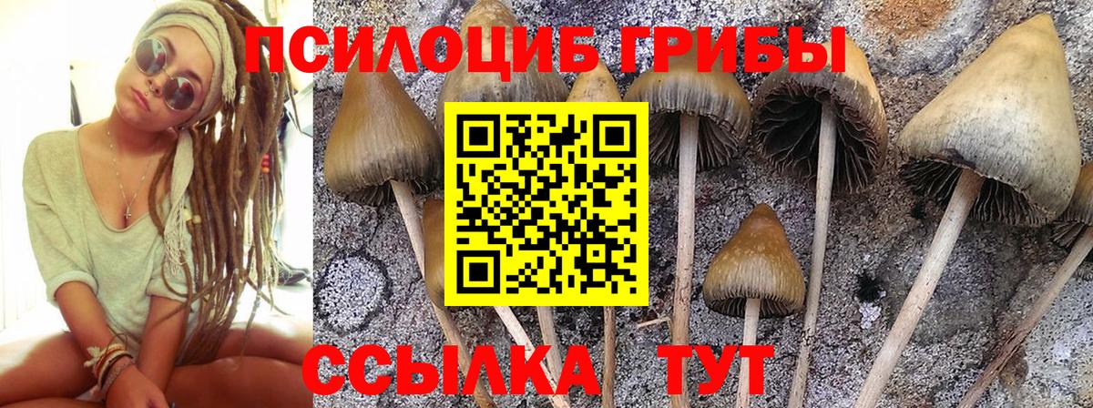 Сосновоборск  купить закладку  Вход с VPN  Галлюциногенные грибы прущие грибы 